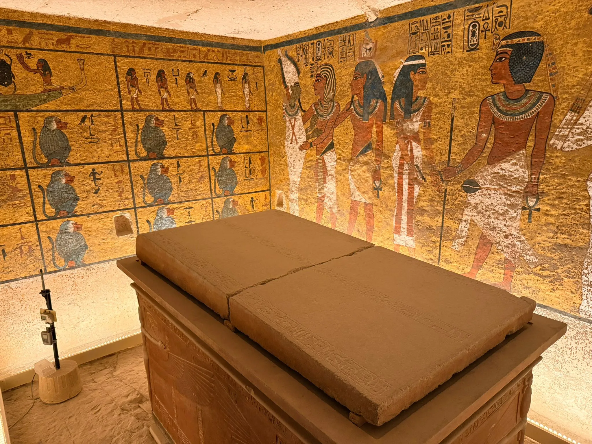 🏛️🐫 Luxor Day Trip from Marsa Alam ☀️✨ Luxor Day trip /IMG-20260310-WA0018.jpg